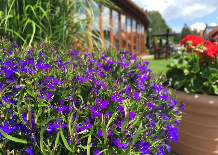 Slunecna Louka Hotell Lipno nad Vltavou